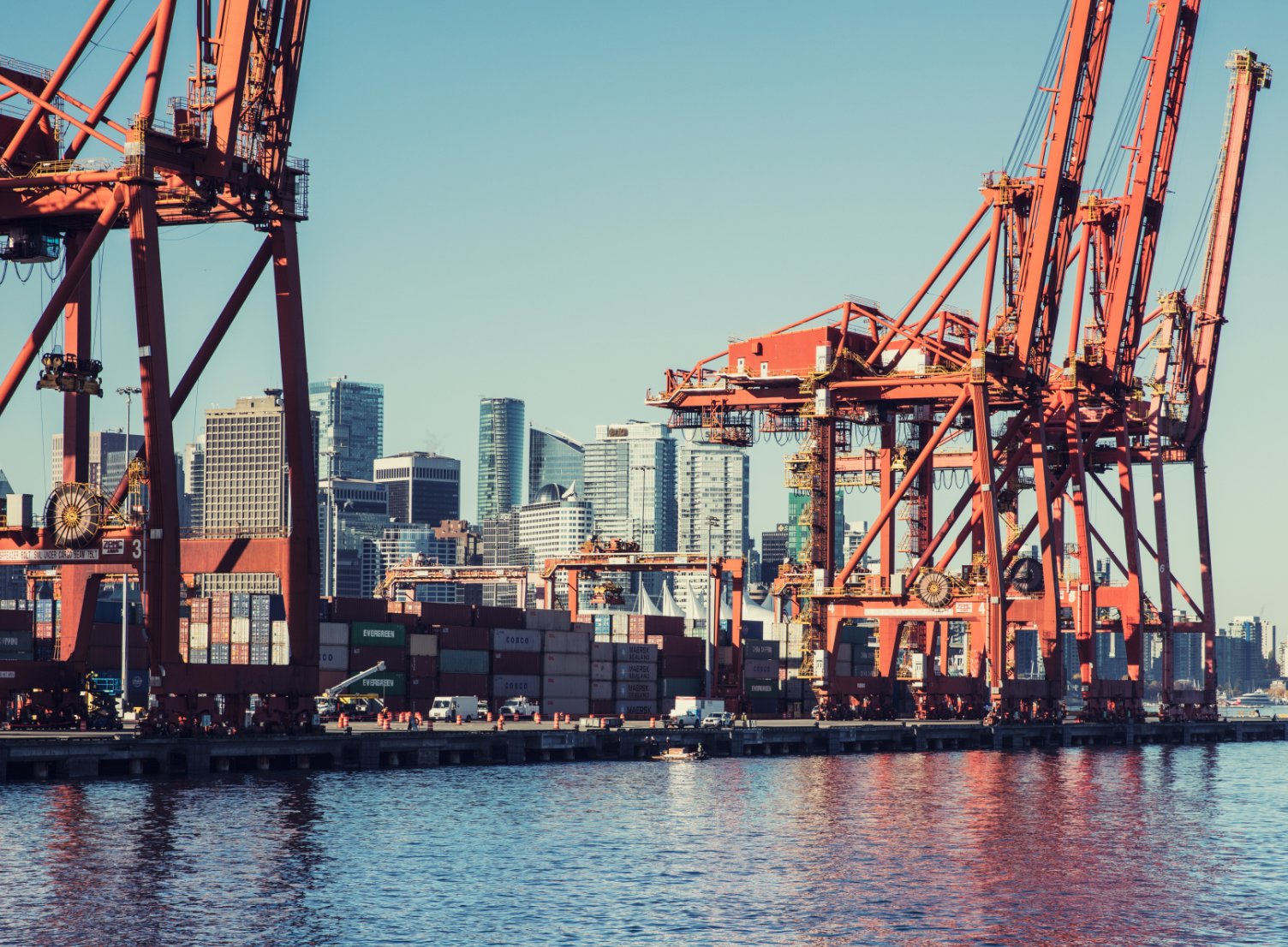 Cranes at expansion port