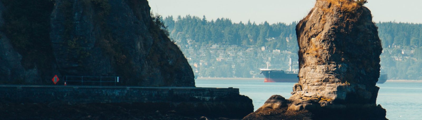 Cargo ship by the Vancouver sea wall