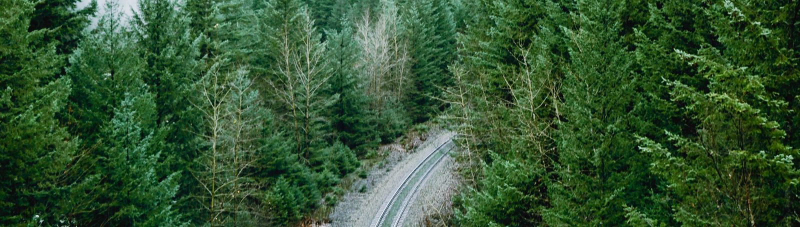 Rail road tracks surrounded by forest and mountains
